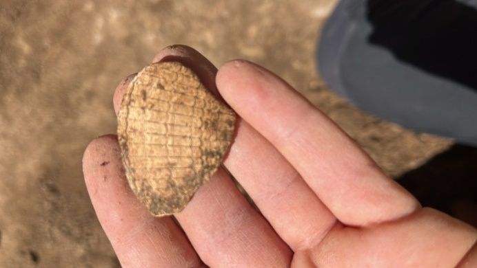 Localizan un yacimiento prehistórico a los pies de la montaña de Montjuïc de Barcelona