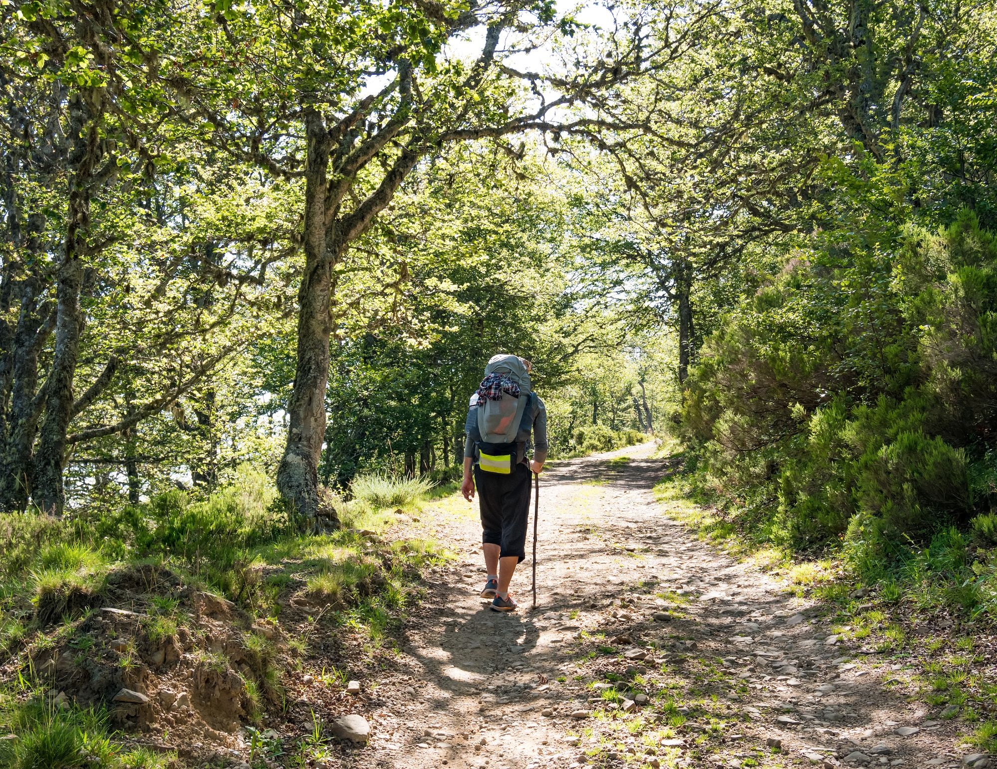 Consejos imprescindibles si vas a hacer el Camino de Santiago (Bigstock)