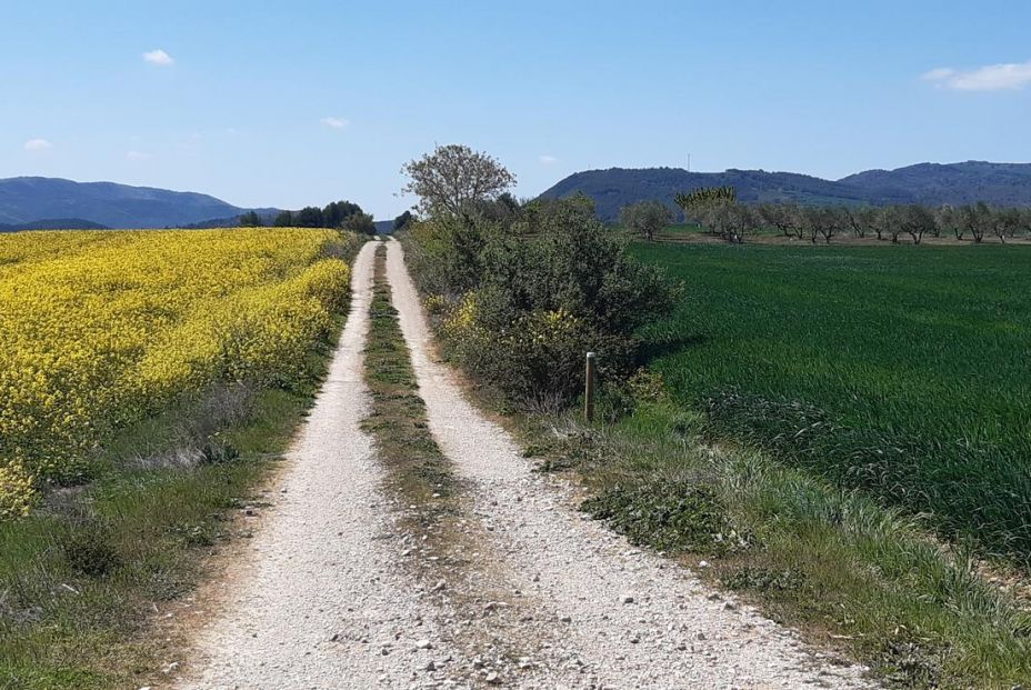 Las mejores rutas de senderismo de Navarra (Turismo Navarra)