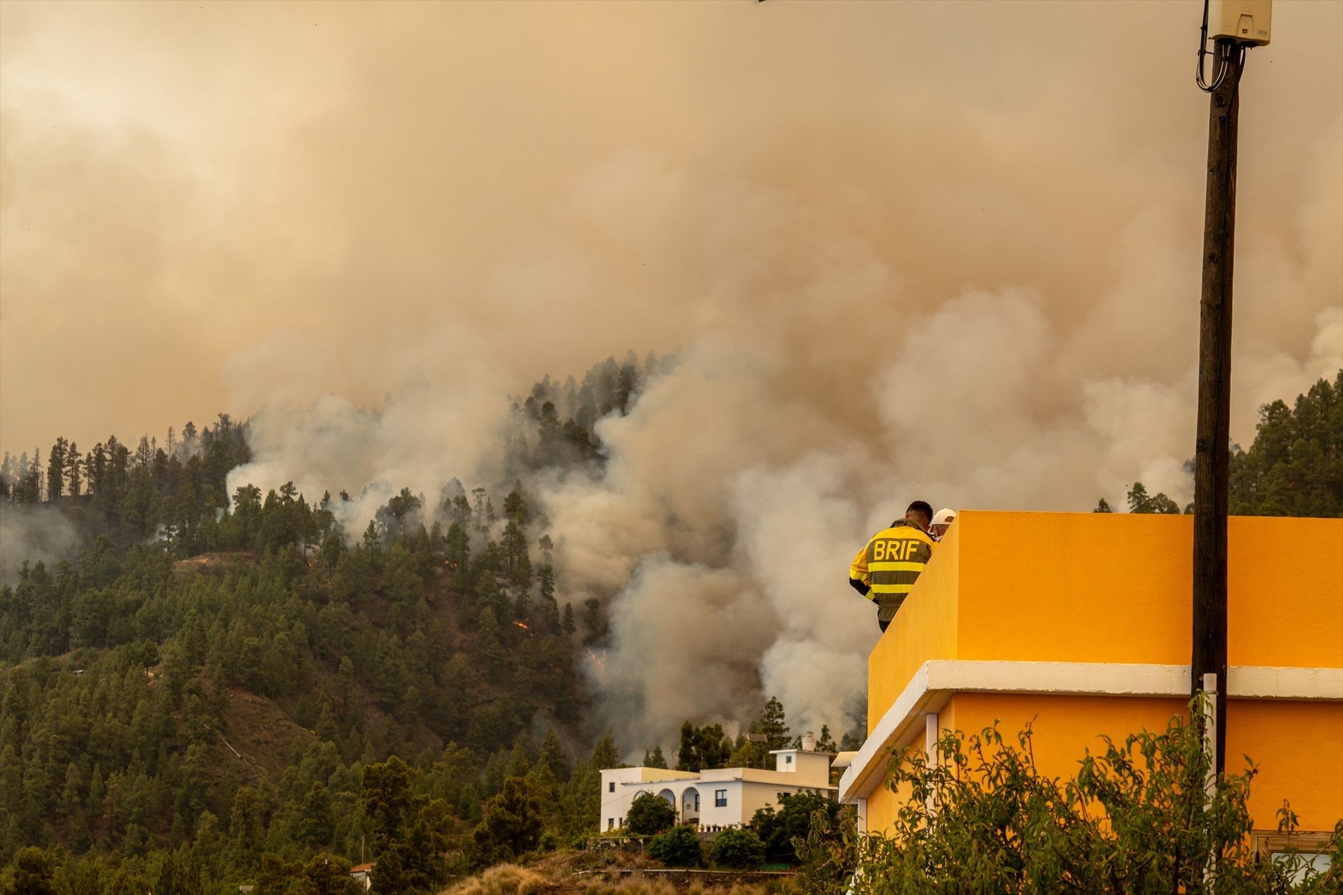 Crean un gel que protege las casas de los incendios forestales