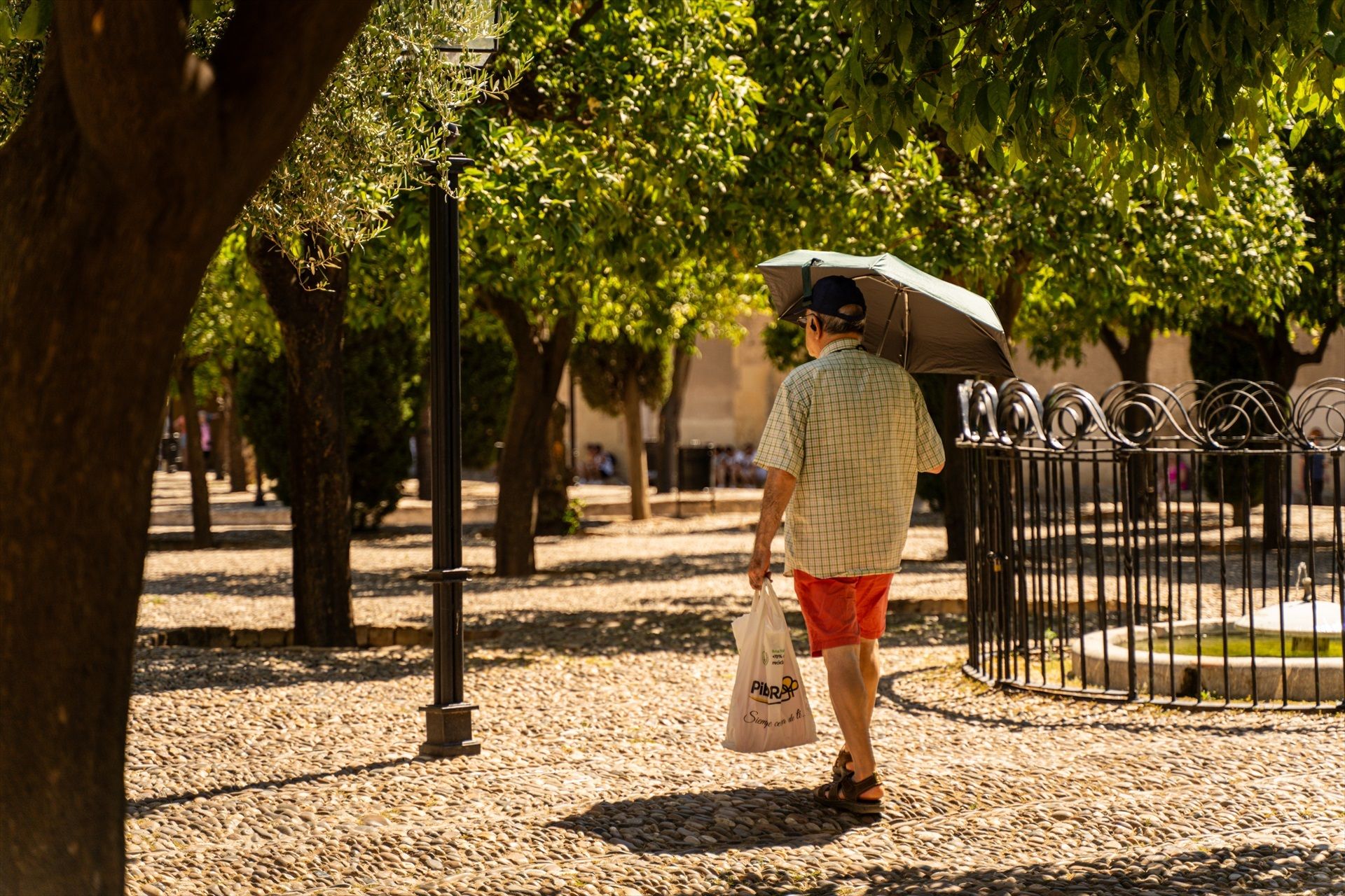 1.339 personas mayores murieron en agosto por el calor: 588 más que en julio