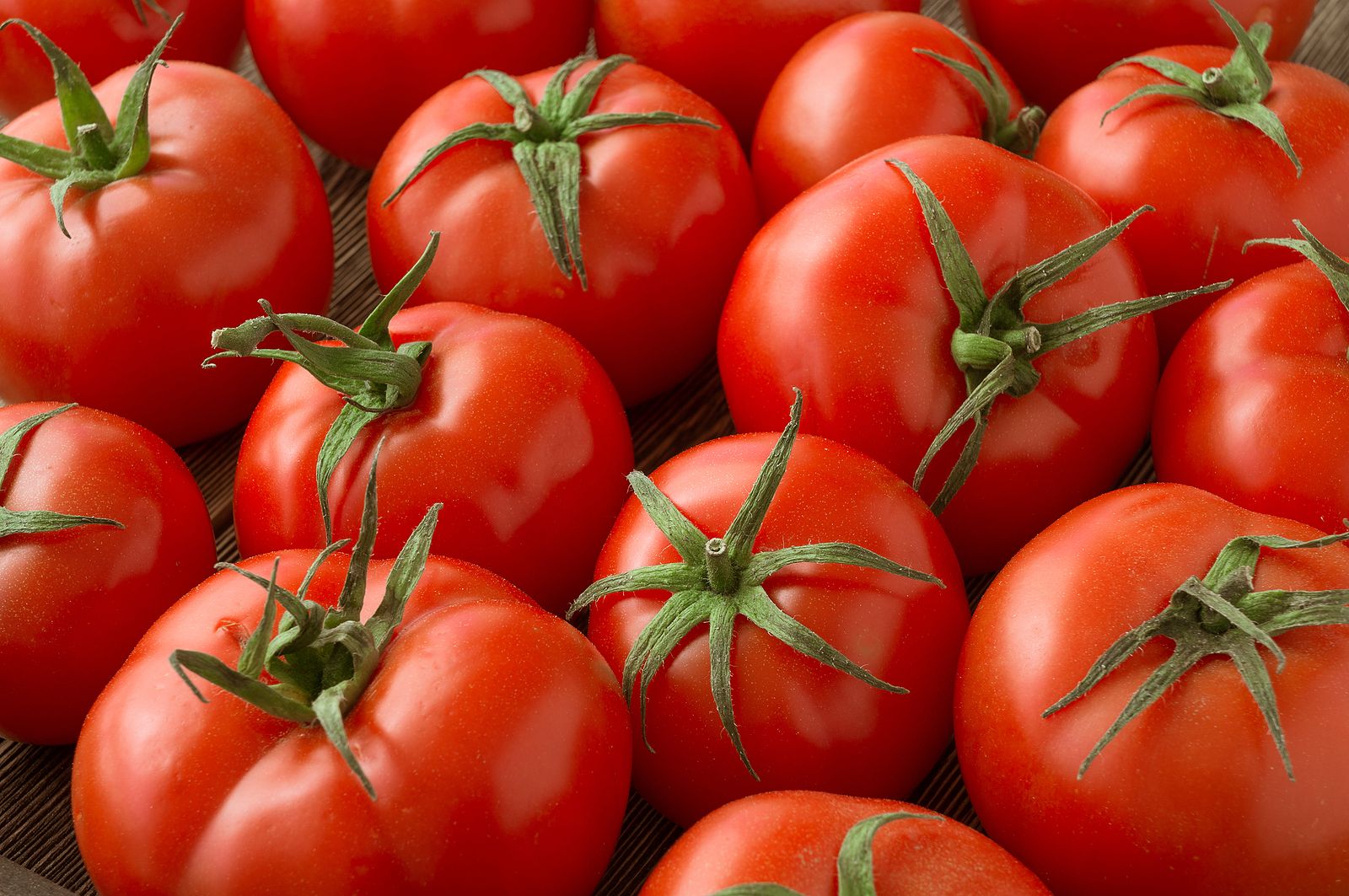 Madrid estudia el cultivo de once clases de tomate para mejorar su calidad y rendimiento