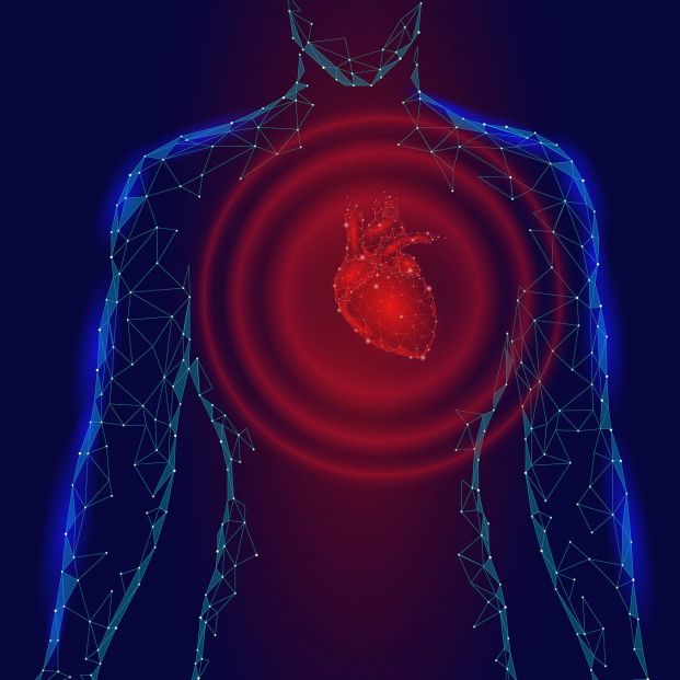 Descubierto un nuevo factor de riesgo cardiovascular y un fármaco que puede mitigar sus efectos