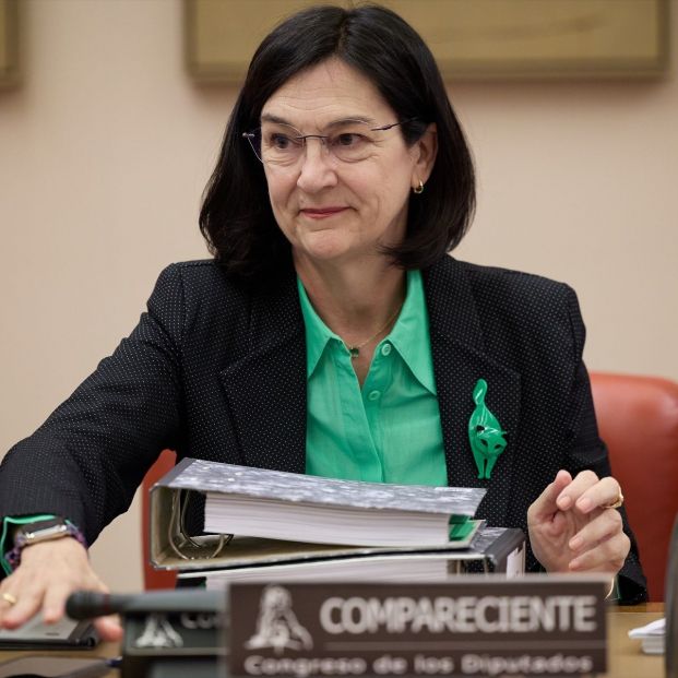 La presidenta de la Comisión Nacional de los Mercados y Competencia (CNMC), Cani Fernández