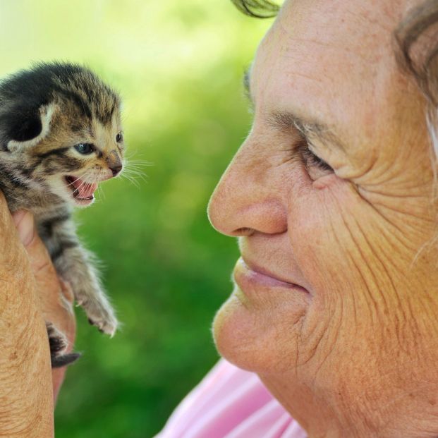 Prohibida la venta de perros, gatos y hurones en tiendas de España