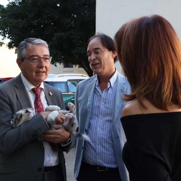 malaga plan adoptar mascotas mayores