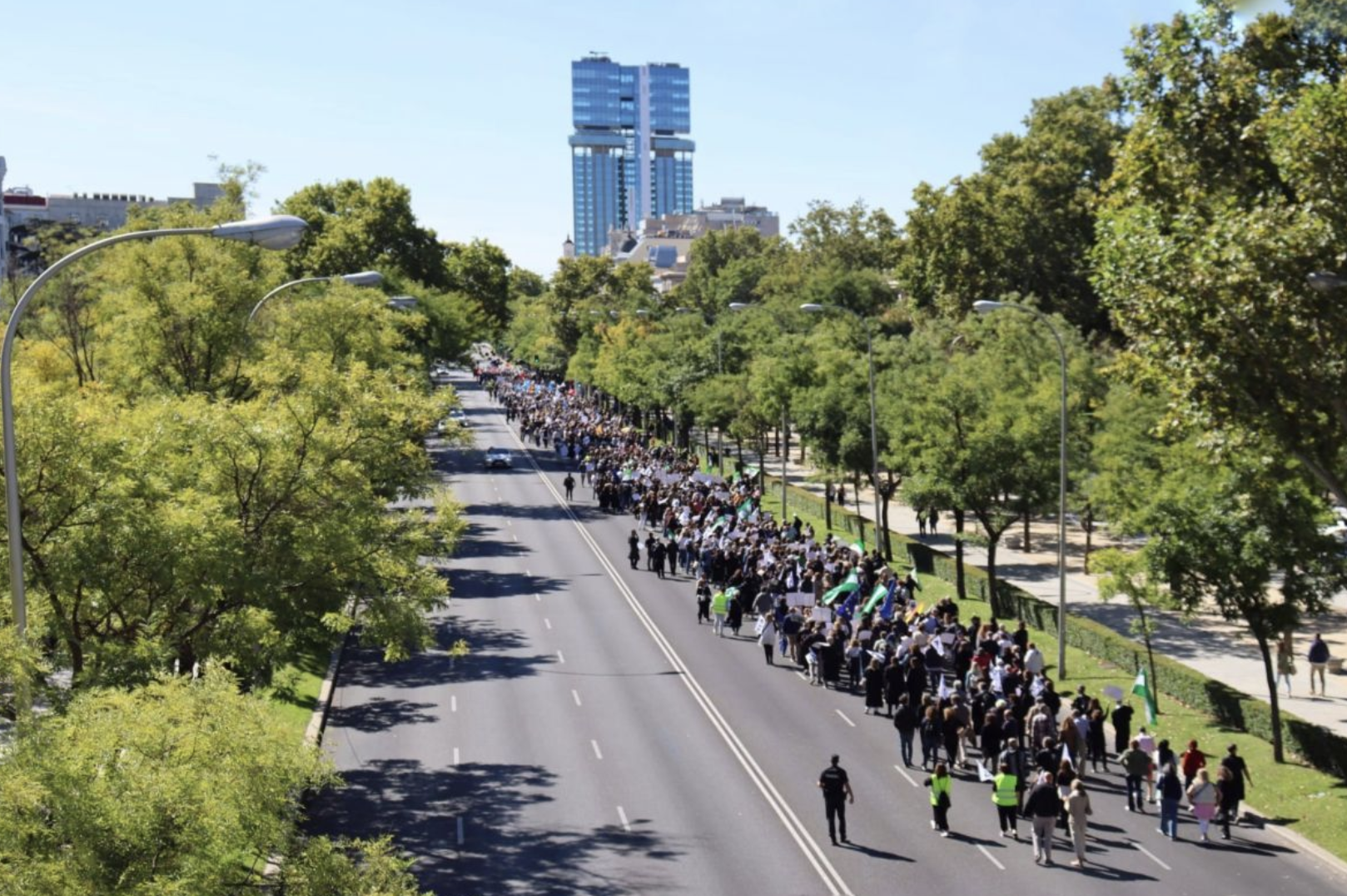 La manifestación para pedir una “pasarela” al RETA no consigue reunir a la mayoría de profesionales