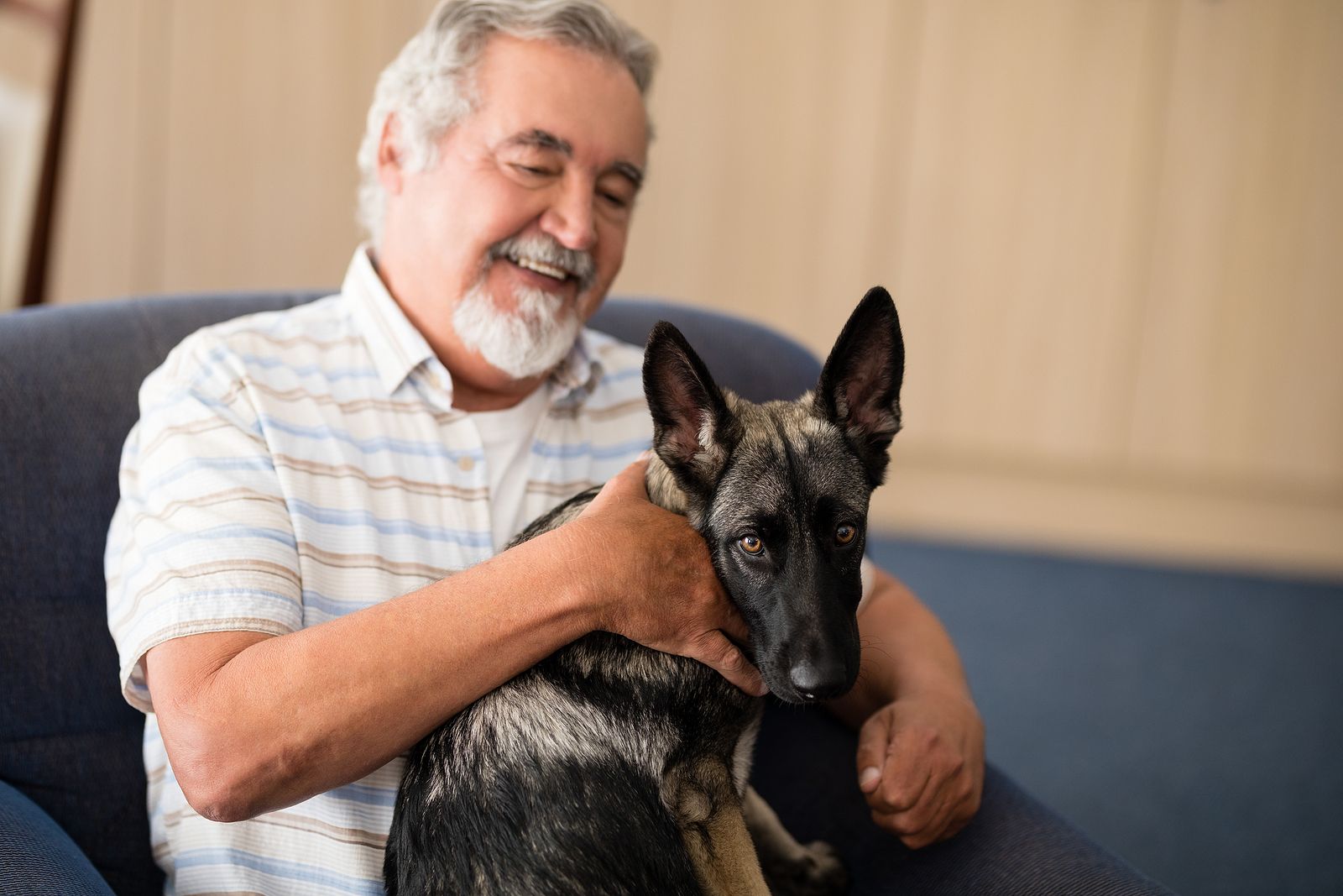 Este es el nombre de perro más común en España