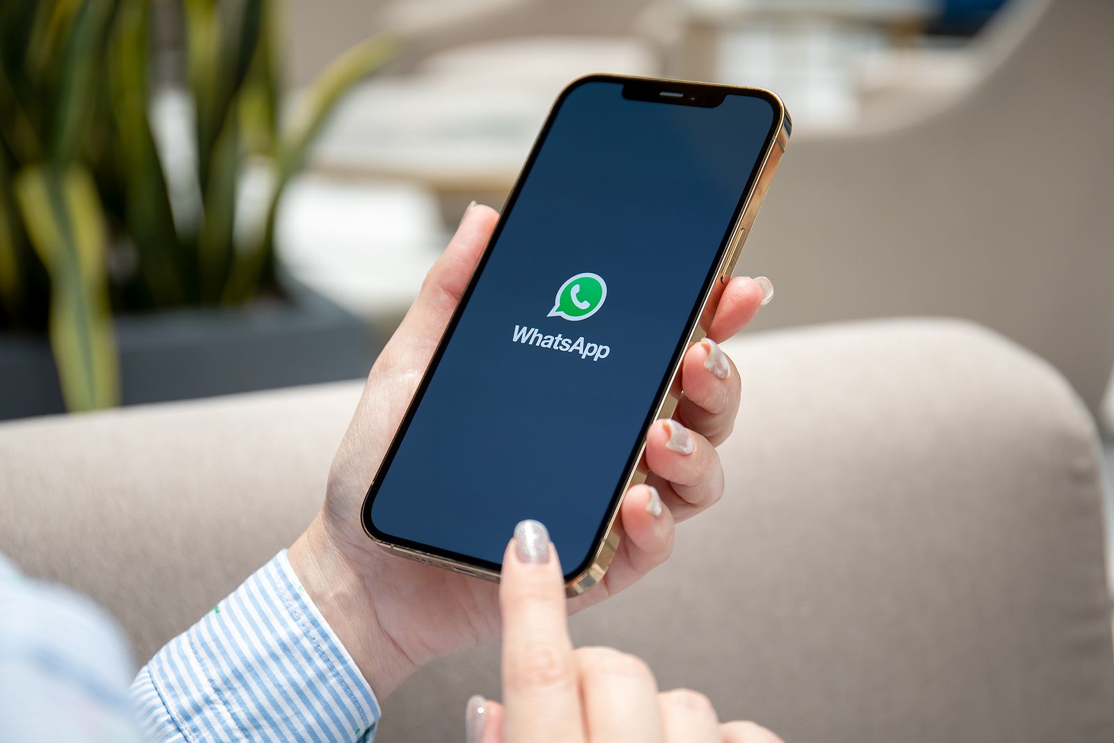 Las novedades de WhatsApp que llegan muy pronto