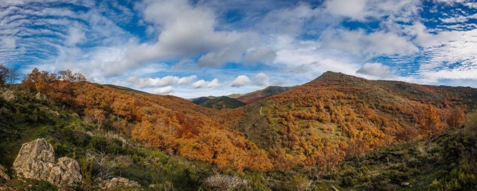 Hayedo de Montejo: un bosque de cuento a una hora de Madrid al que solo se puede acceder por sorteo