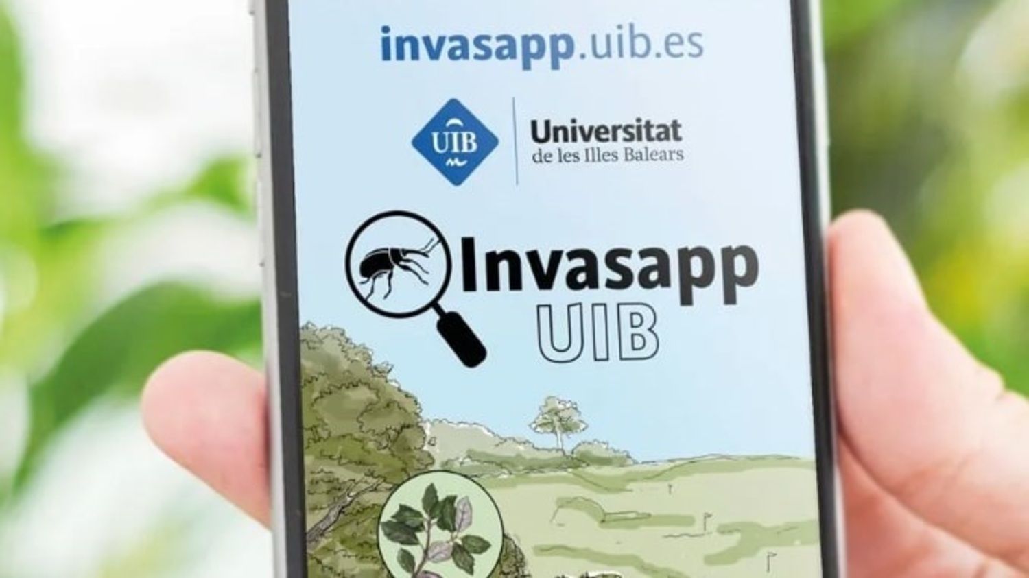 Lanzan una app para detectar y notificar la presencia de insectos invasores