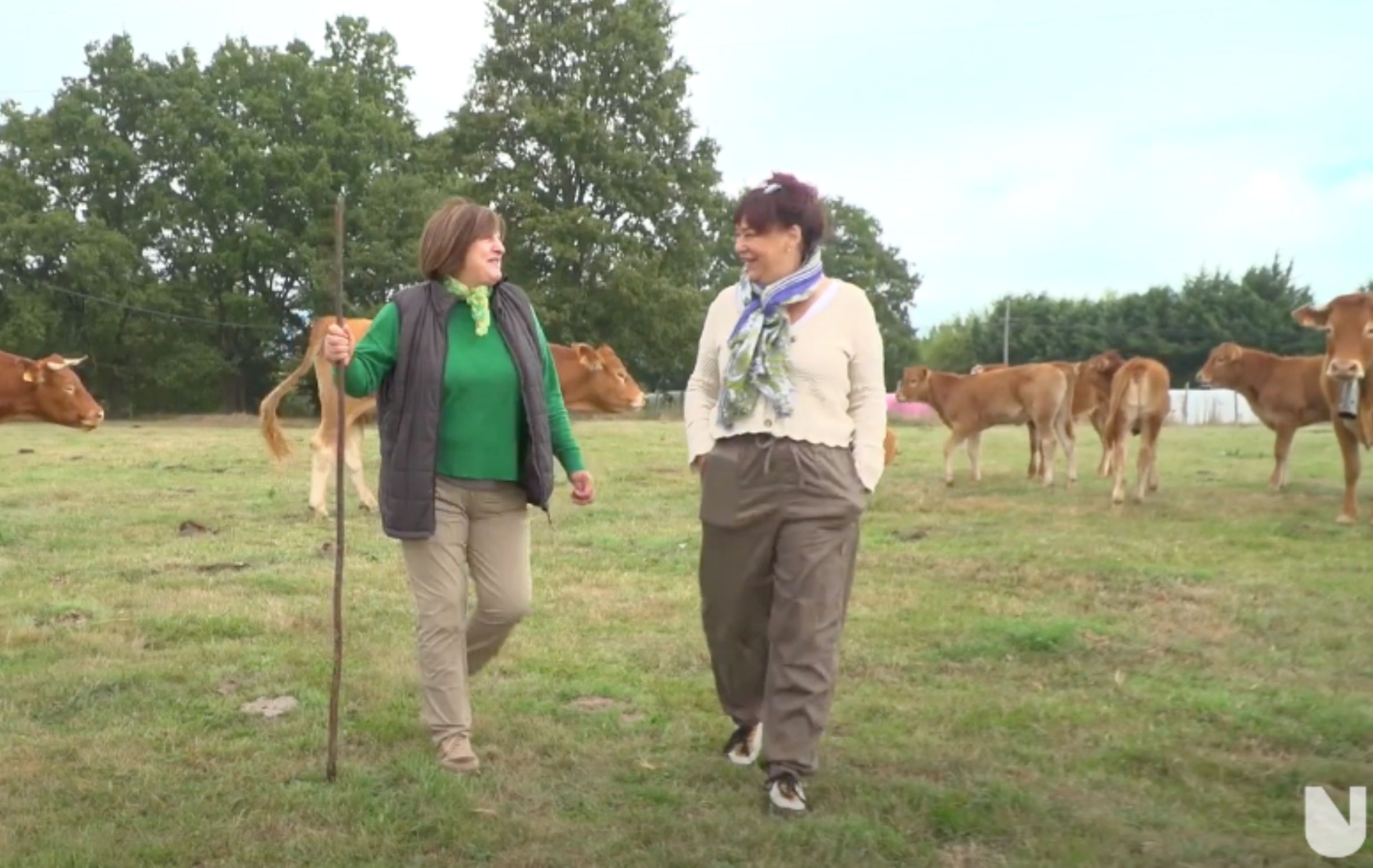 El envejecimiento rural tiene rostro de mujer: “Pedimos que nos traten con más respeto” (YouTube)