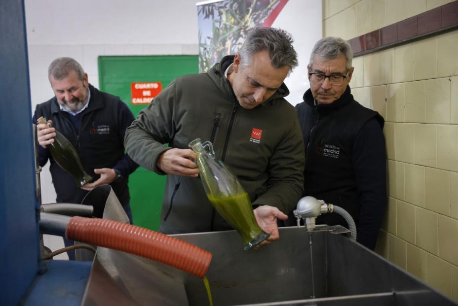 l Aceite de Madrid DOP celebra por todo lo alto su primer día de cosecha