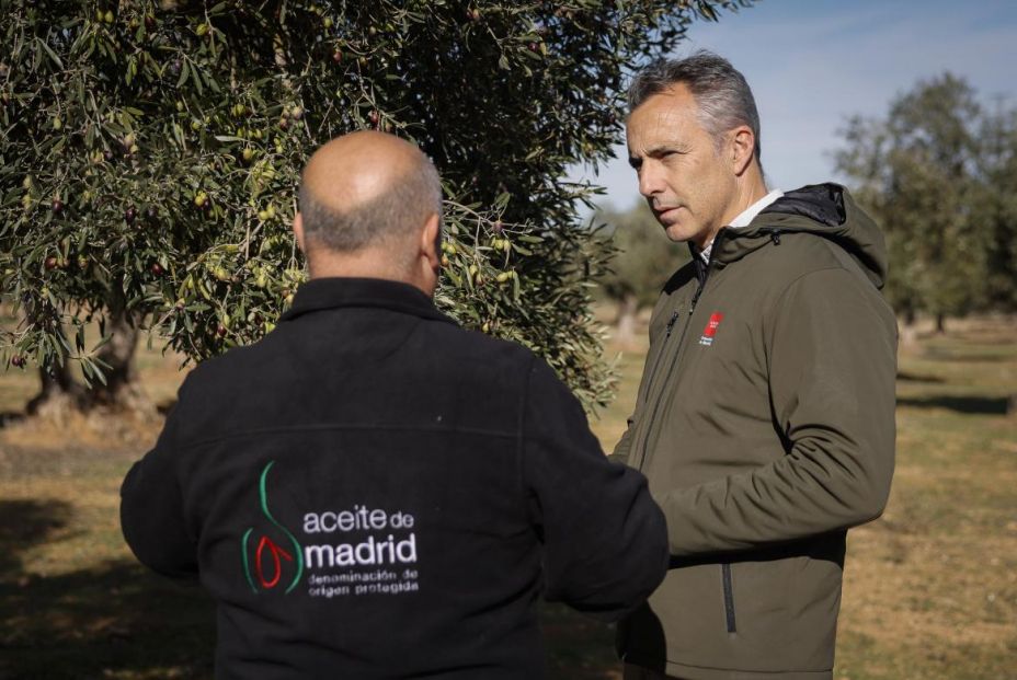 l Aceite de Madrid DOP celebra por todo lo alto su primer día de cosecha