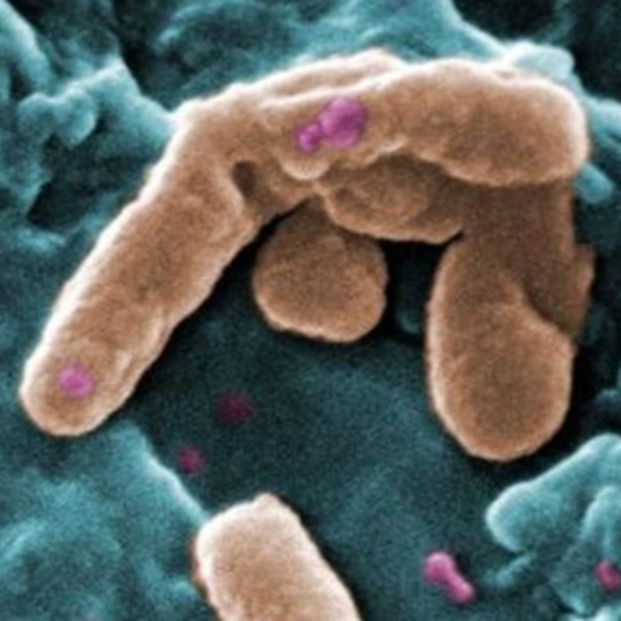 Resistencia antimicrobiana de las bacterias. Fuente: Europa Press