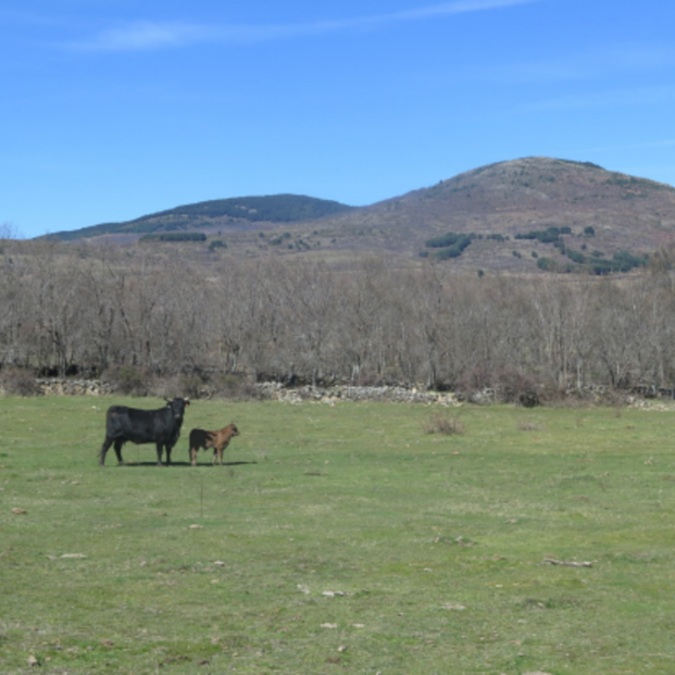  Vista norte del Cerro Cabeza de Piñuécar, desde la zona de Bellidas. Fuente: ayuntamiento de Piñuécar-Gandullas