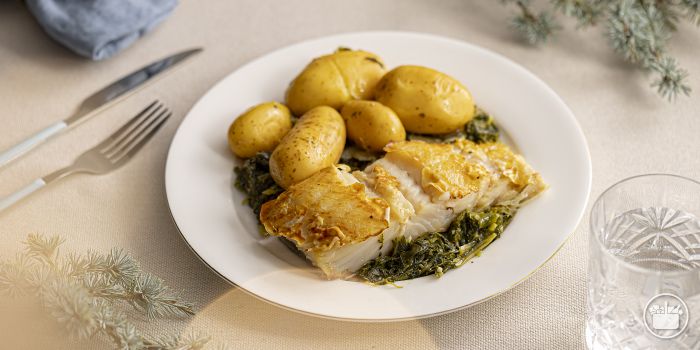 bacalao 9