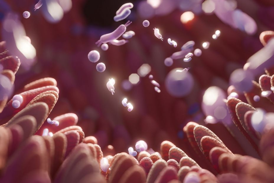 Imagen de la microbiota intestinal. Bigstock