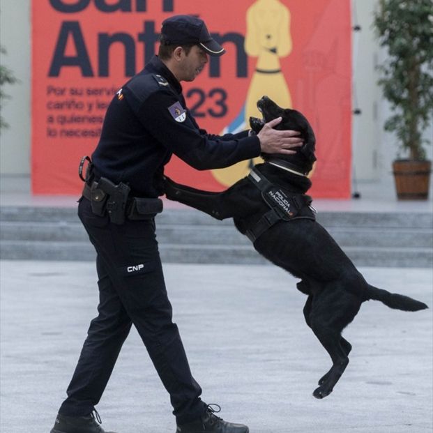 Un policía realiza una demostración con uno de los perros de la Unidad Canina de la Policía Nacional. Fuente: Alberto Ortega / Europa Press