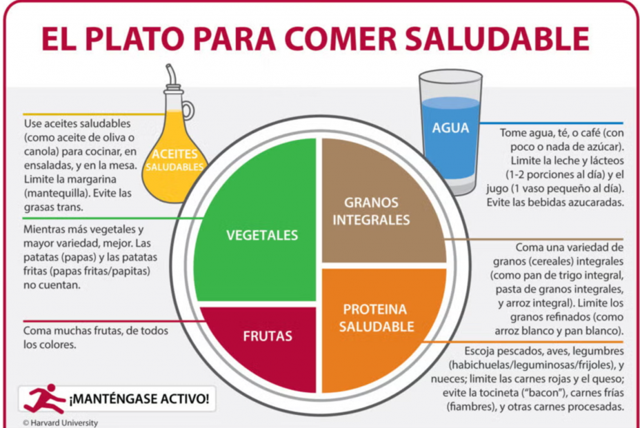 El plato para comer saludable de Harvard. Fuente: Harvard