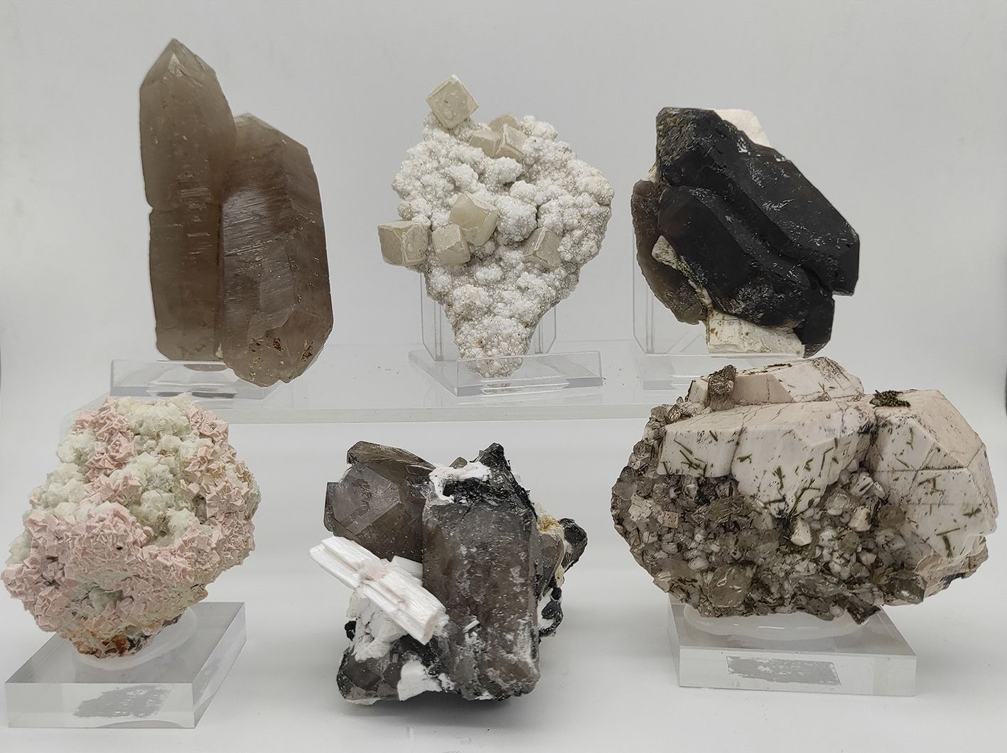 Madrid acoge la Feria Natura 2024: una explosión de minerales y fósiles en Chamartín