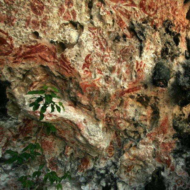 Exposición del arte rupestre de Palaos en el Museo de Altamira. Fuente: Museo Altamira