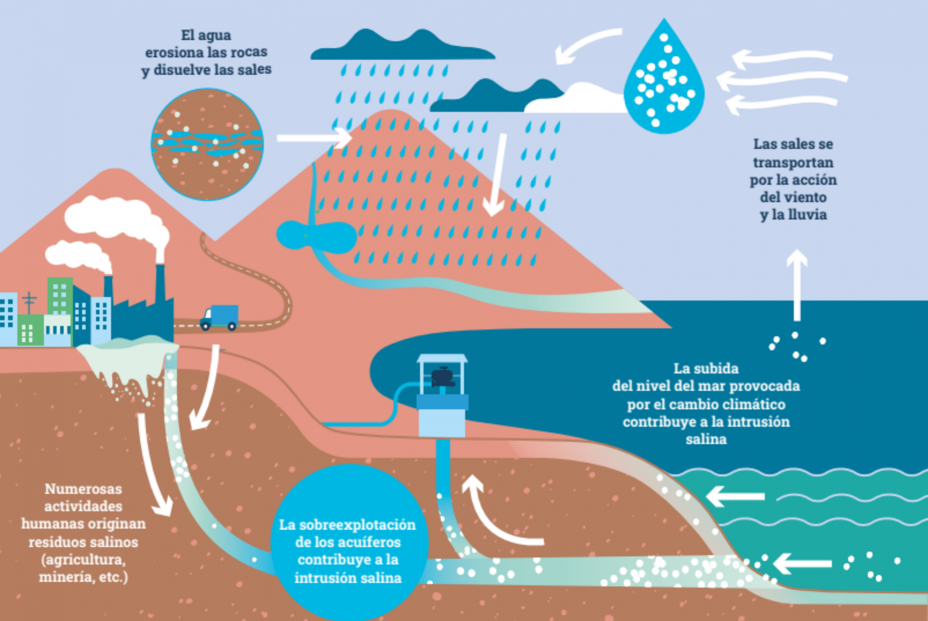 Infografía sobre el ciclo antrópico de la sal. Fuente: CEAB-CSIC