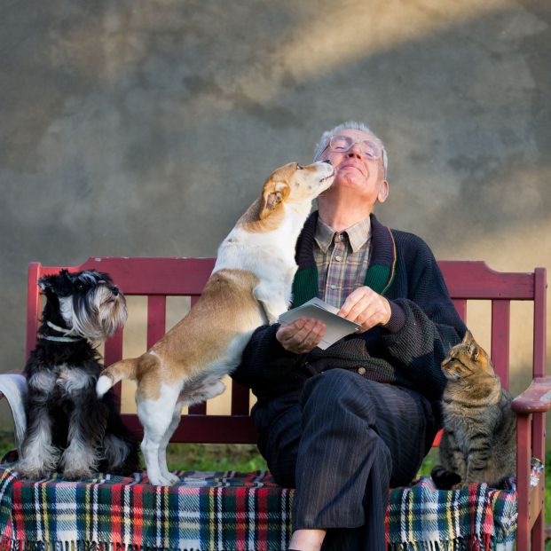 Un hombre sentado en un banco con sus perros y gato. Fuente: Bigstock