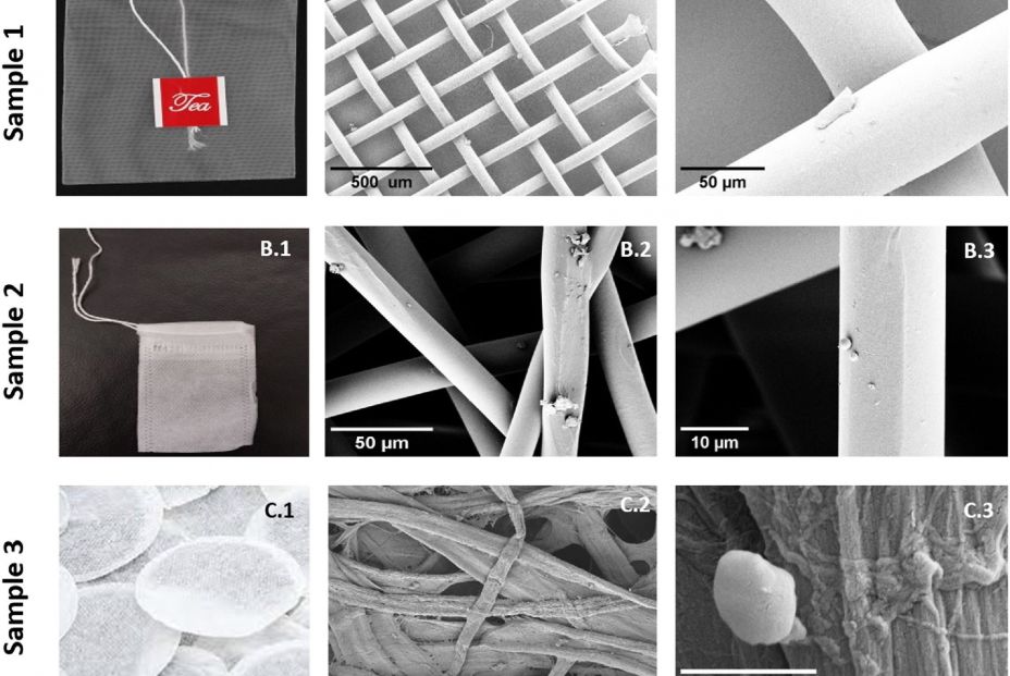 Imágenes SEM de los filamentos de tres muestras de bolsitas de té y zoom en las regiones con irregularidades, escamas y estructuras de partículas. Fuente: Chemosphere