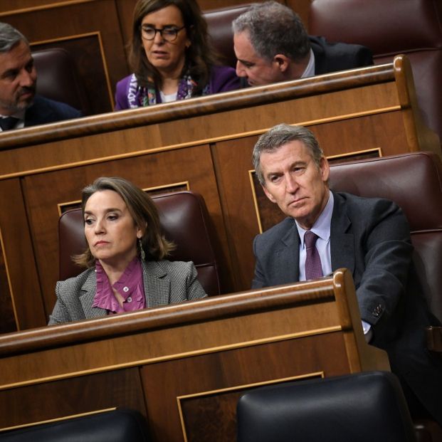 La secretaria general del PP, Cuca Gamarra, y el presidente del PP, Alberto Núñez Feijóo, durante un pleno en el Congreso de los Diputados. Fuente: Fernando Sánchez / Europa Press