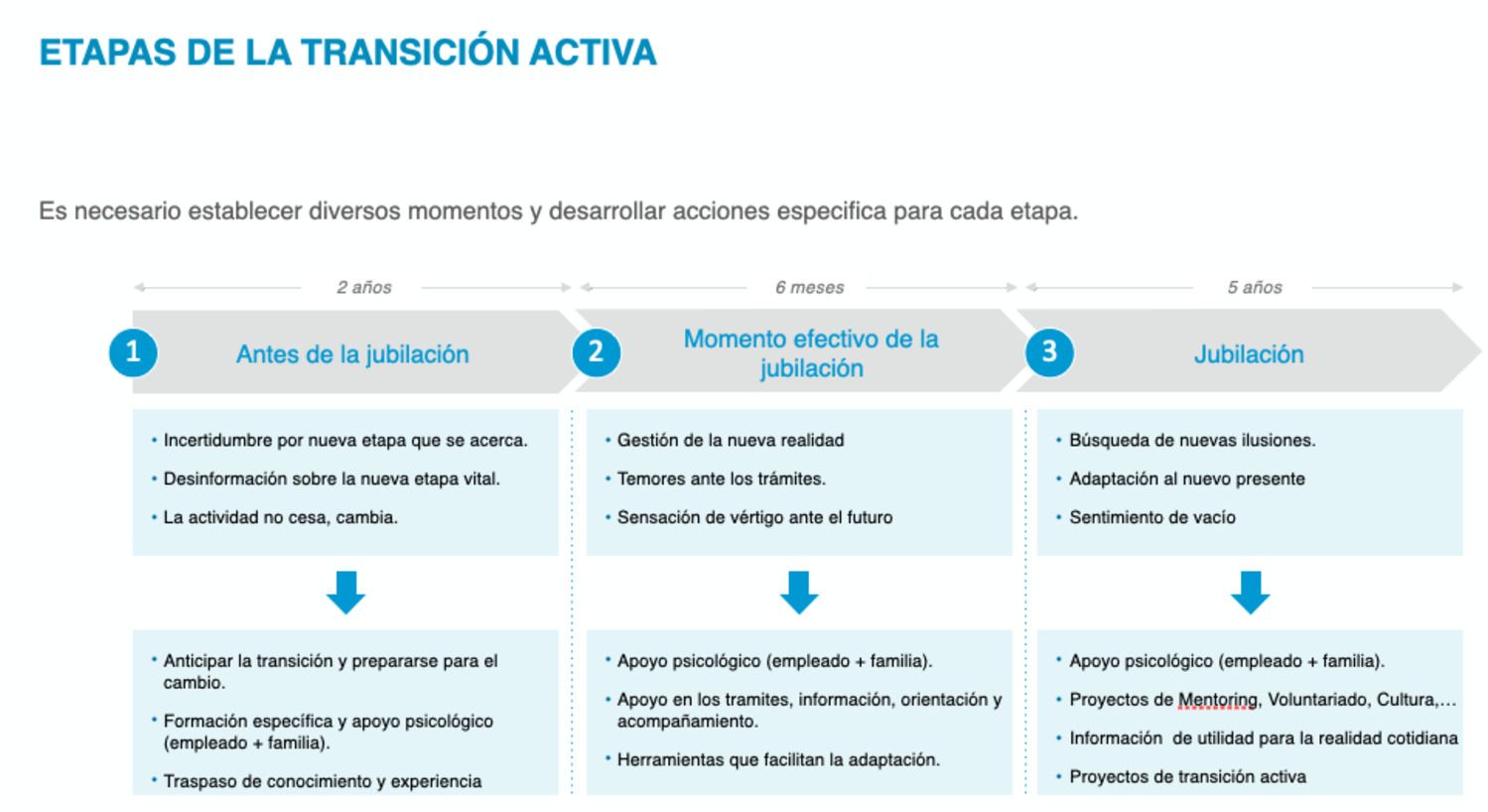 etapas transicion activa (1)