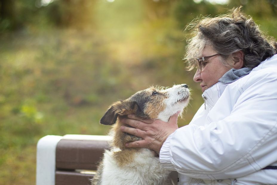 Derechos legales de las mascotas: ¿pueden recibir herencias o tener pensión de alimentos?