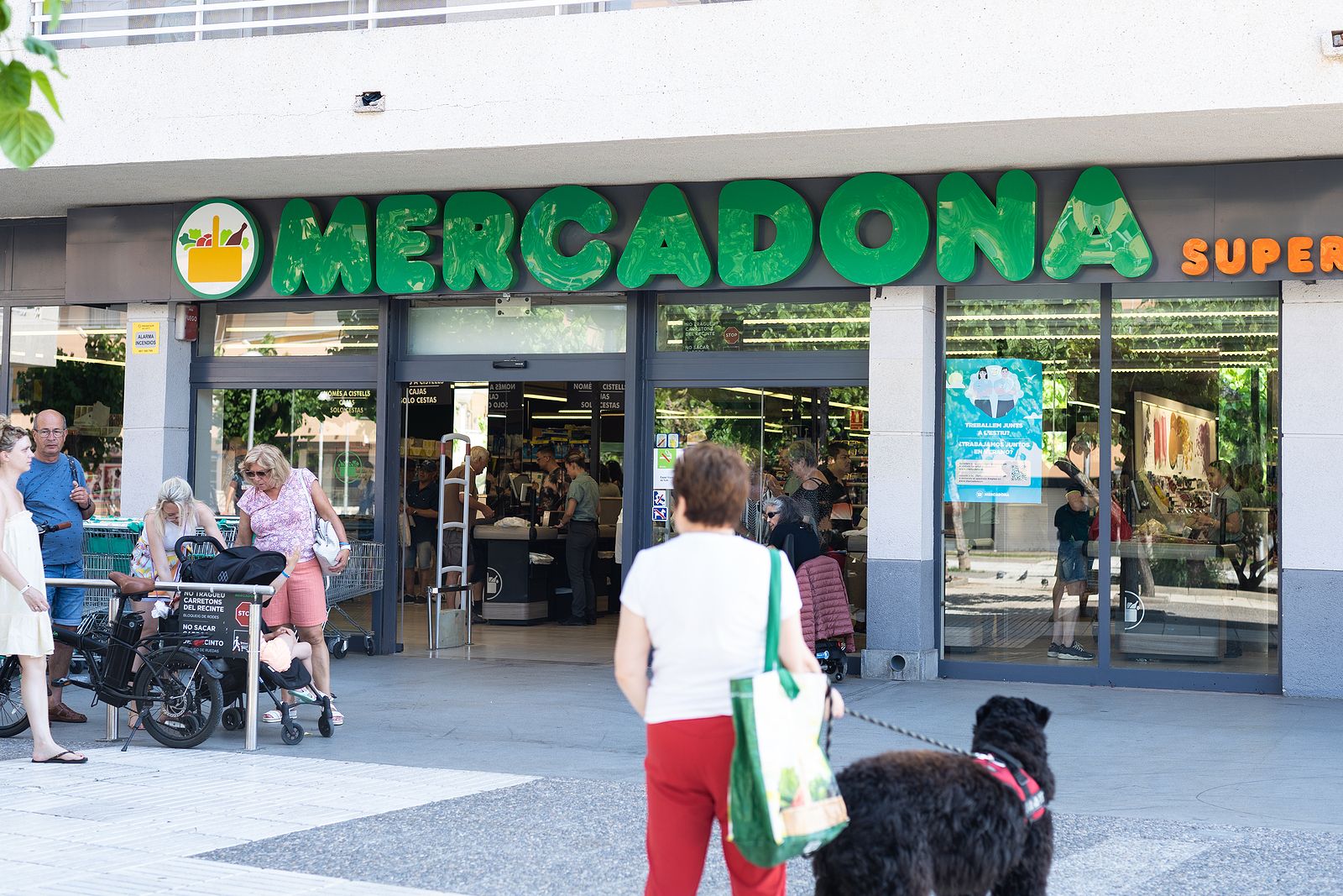 Mercadona, Carrefour, Lidl, Dia...: ¿cuánto cuesta que te llevan la compra a casa en 2025?