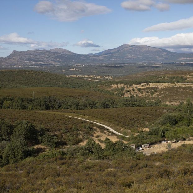 Vistas desde la m130 en Robledillo de la Jara camino de Puebla de la Sierra en Madrid (2021). Fuente: Rafael Bastante / Europa Press 