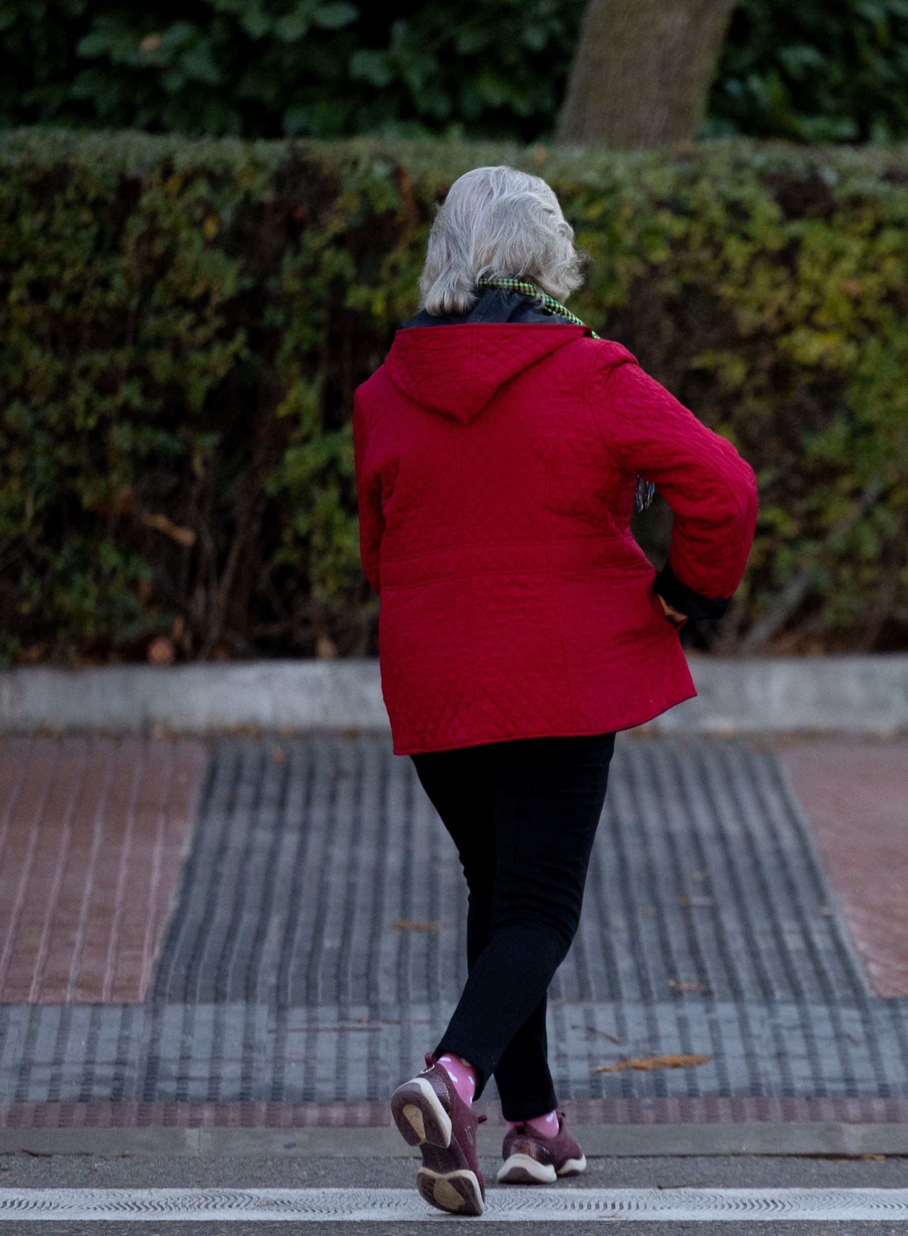 Revalorizar las pensiones en 2025 costará 6.703,6 millones, según los expertos