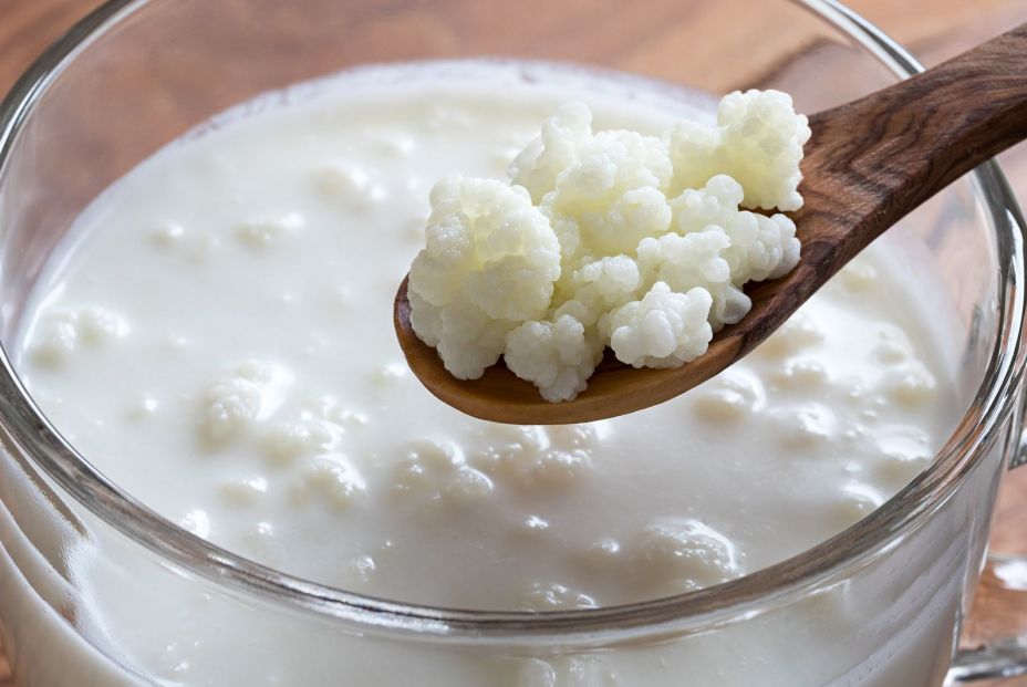 bigstock Kefir Grains On A Wooden Spoon 196918507