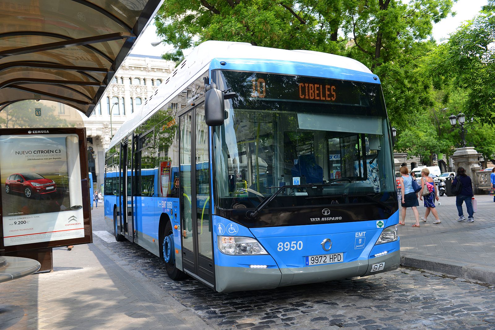 ¿Está permitido adelantar a un autobús parado si hay línea continua? Esto dice la DGT