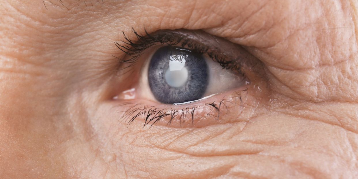 8 nutrientes clave para mejorar tu visión y proteger tu salud ocular