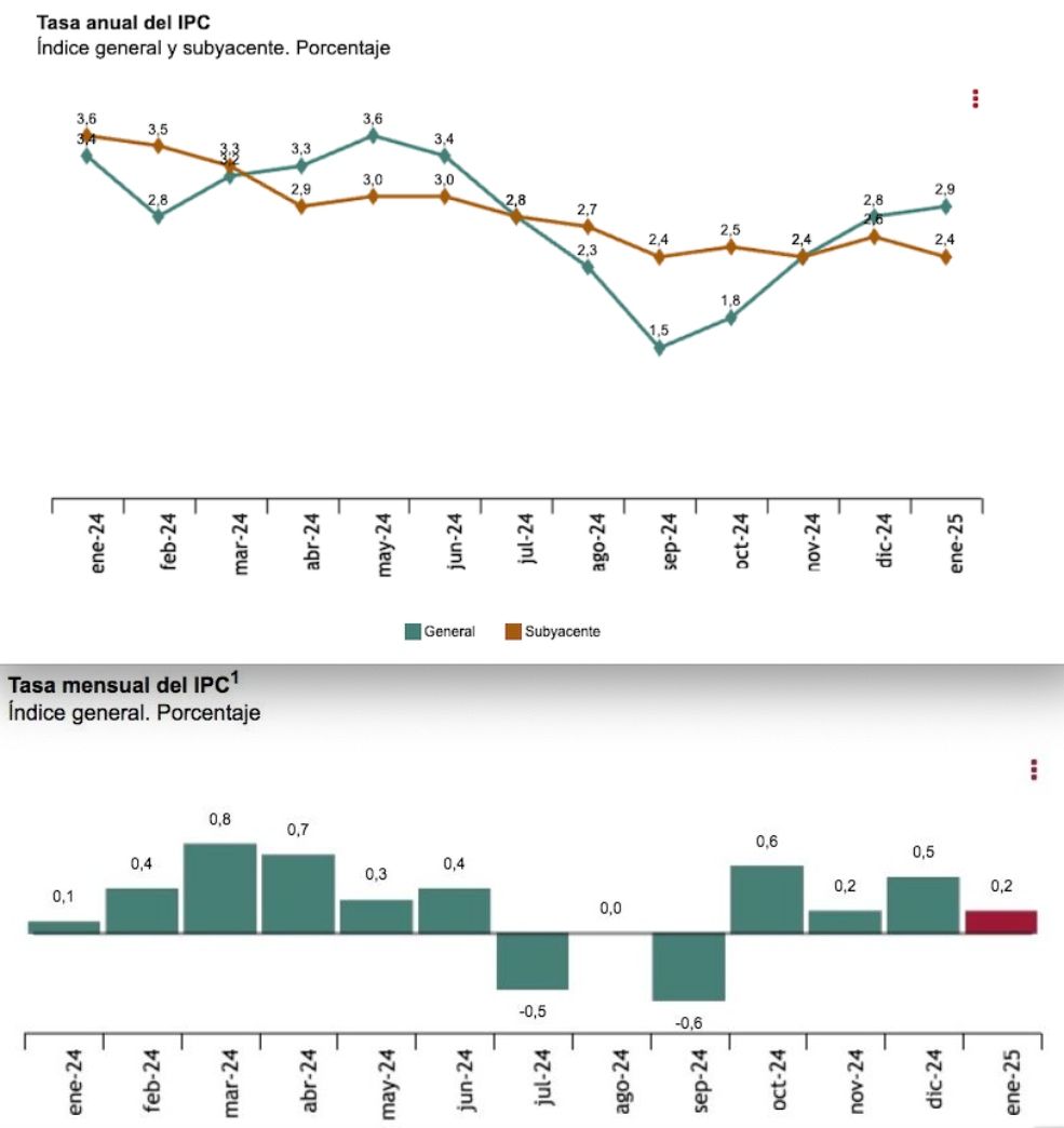 ipc anual 2.9 enero 25 y mensual 0.2