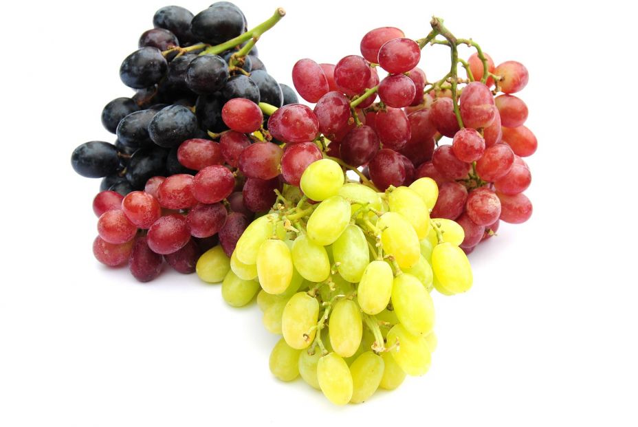 Las uvas ayudan a mantener la salud muscular. Bigstock 