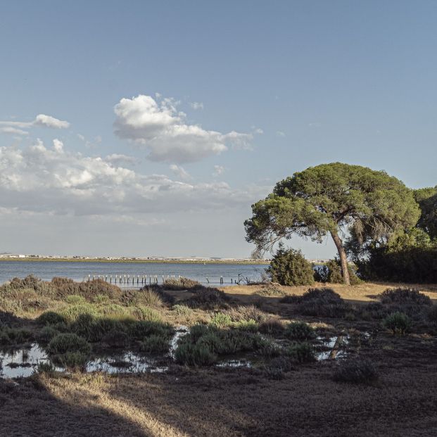 Huelva, destino para los turistas sénior: descubre todos sus atractivos (Bigstock)