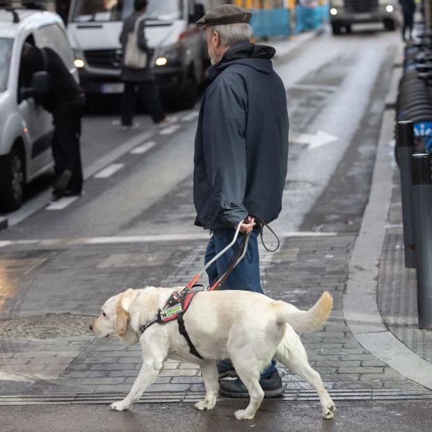 Una persona con discapacidad visual camina acompañada por un perro guía. Fuente: Eduardo Parra / Europa Press