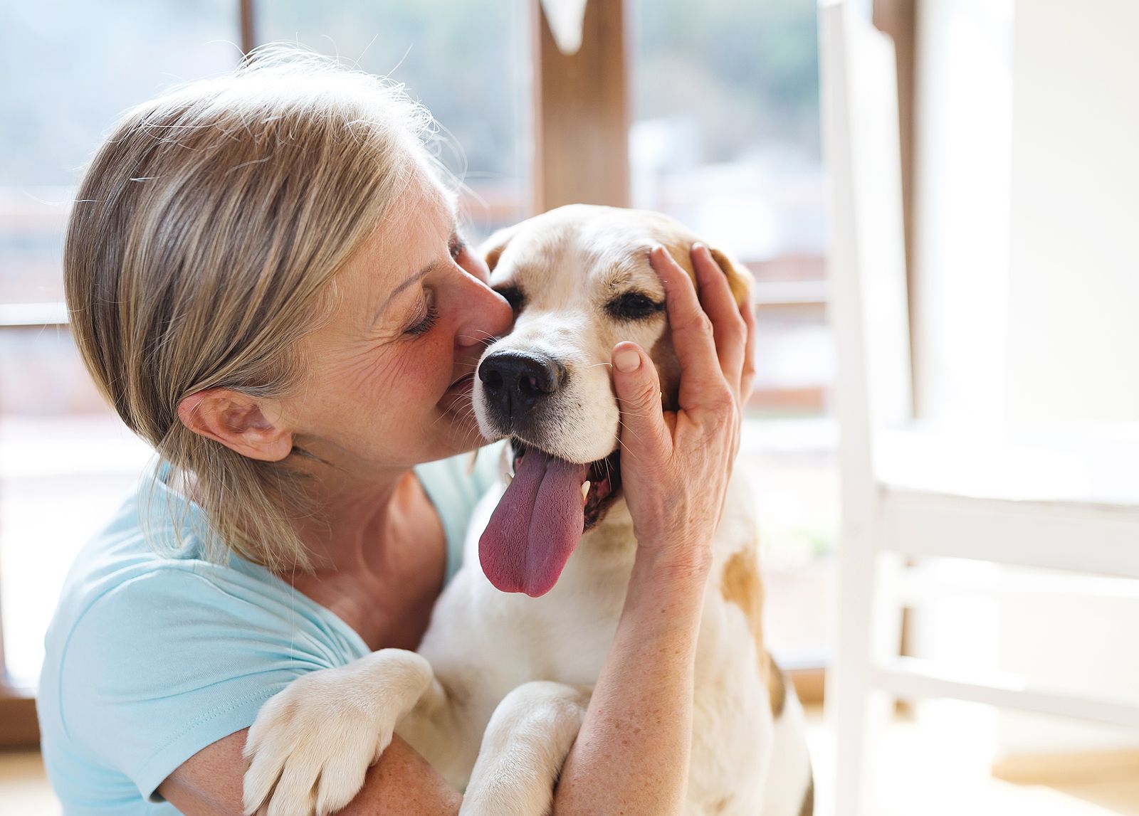 Estas son las mejores razas de perro para personas mayores