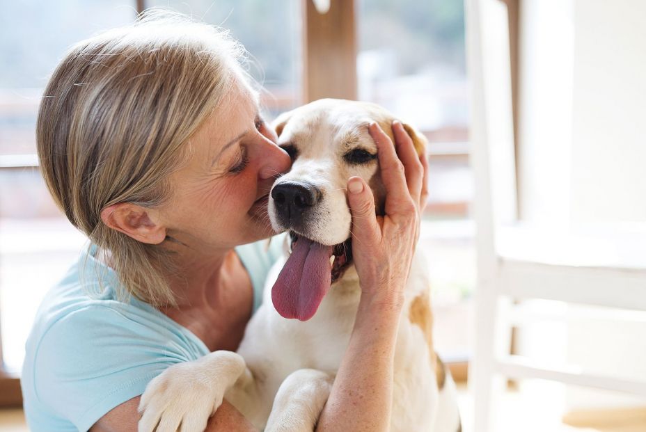 Estudio revela cómo los humanos malinterpretan las emociones de sus perros