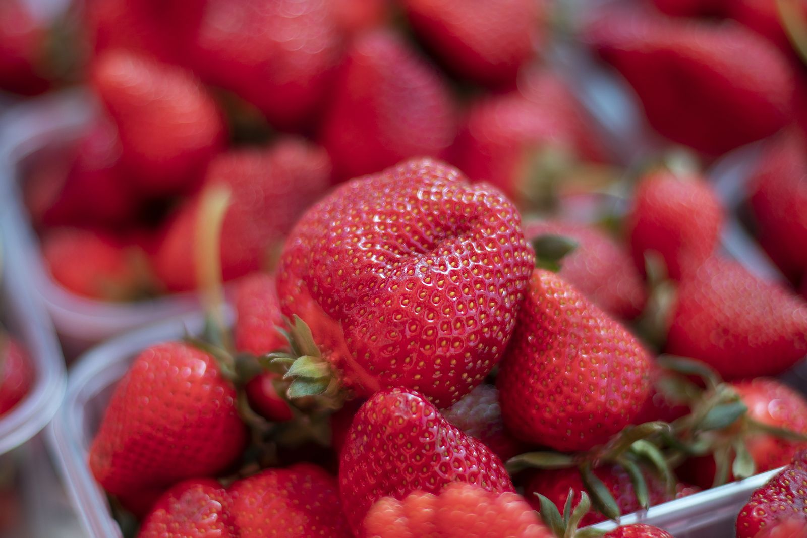 El truco japonés para elegir las fresas más dulces del supermercado