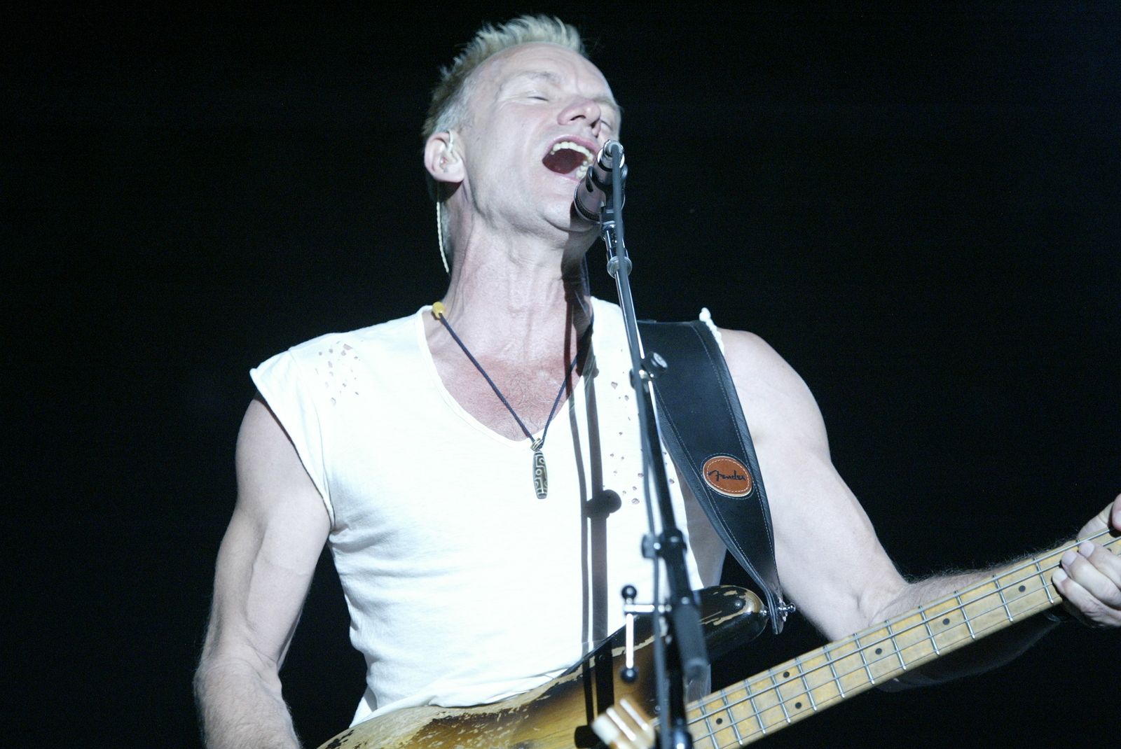 El cantante Sting cumple 68 años 