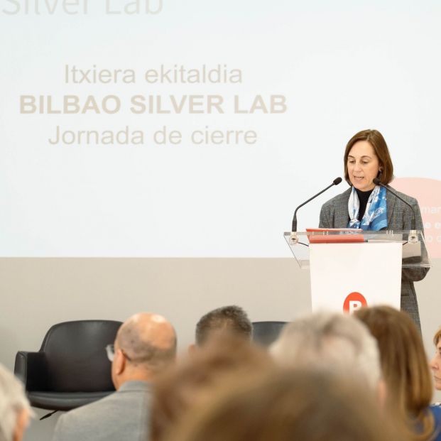 bilbao silver lab