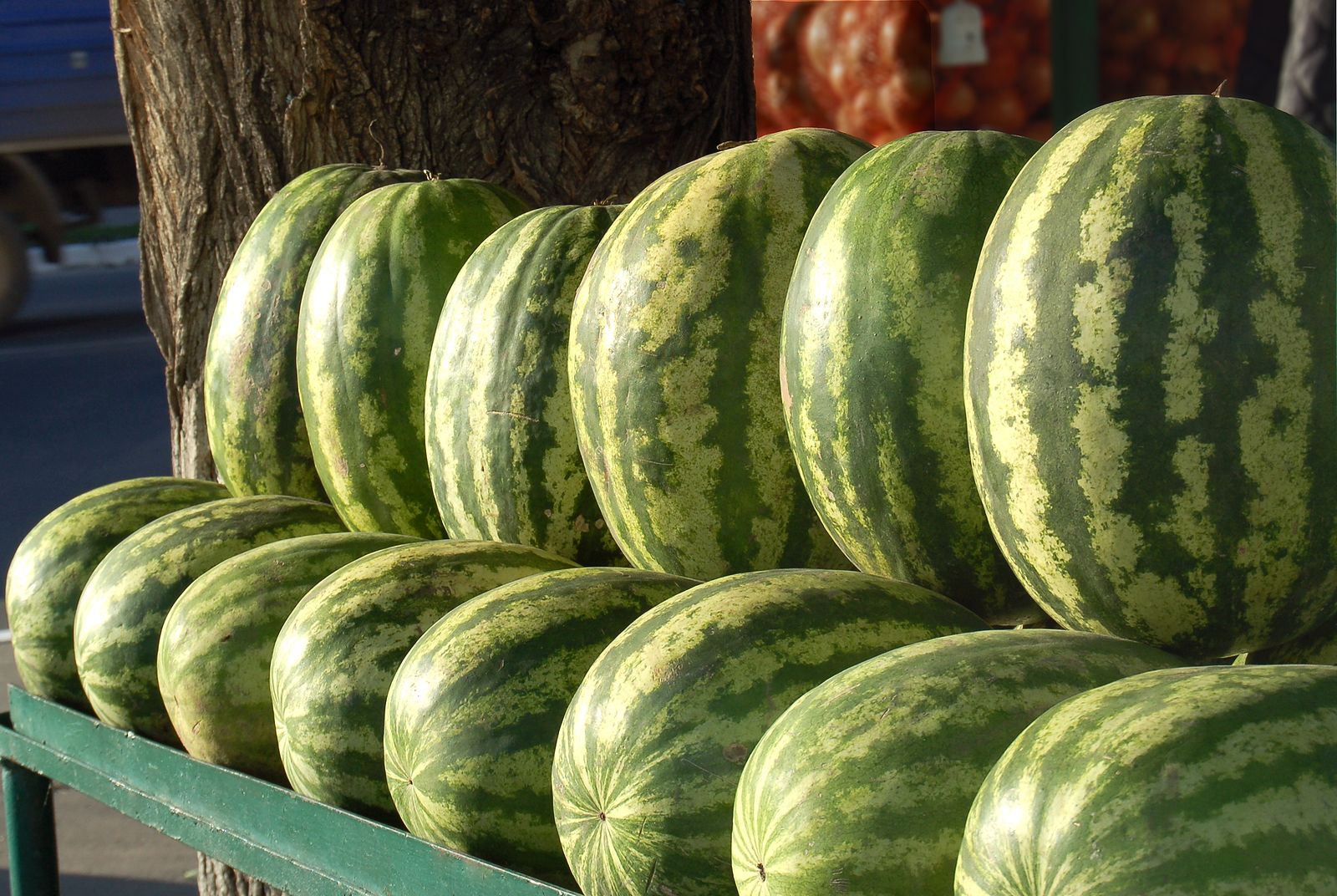 Madrid estudia cómo aprovechar restos de sandías y melones para hacer lácteos saludables