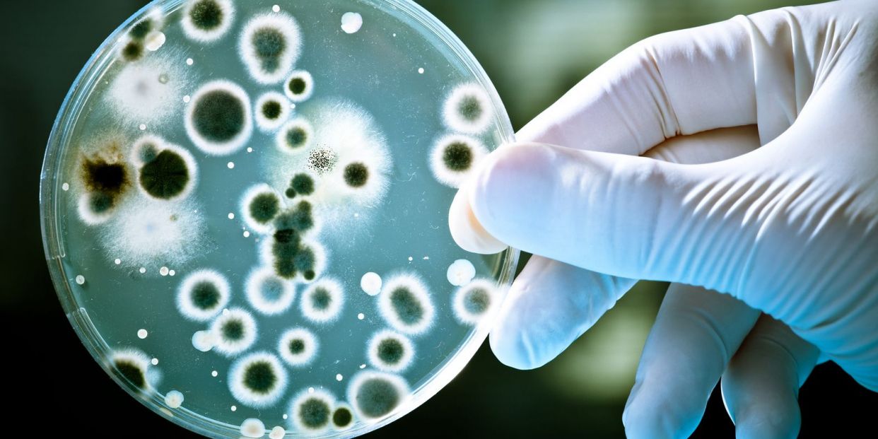 Quiero Saber Qué Son Las Superbacterias 2210