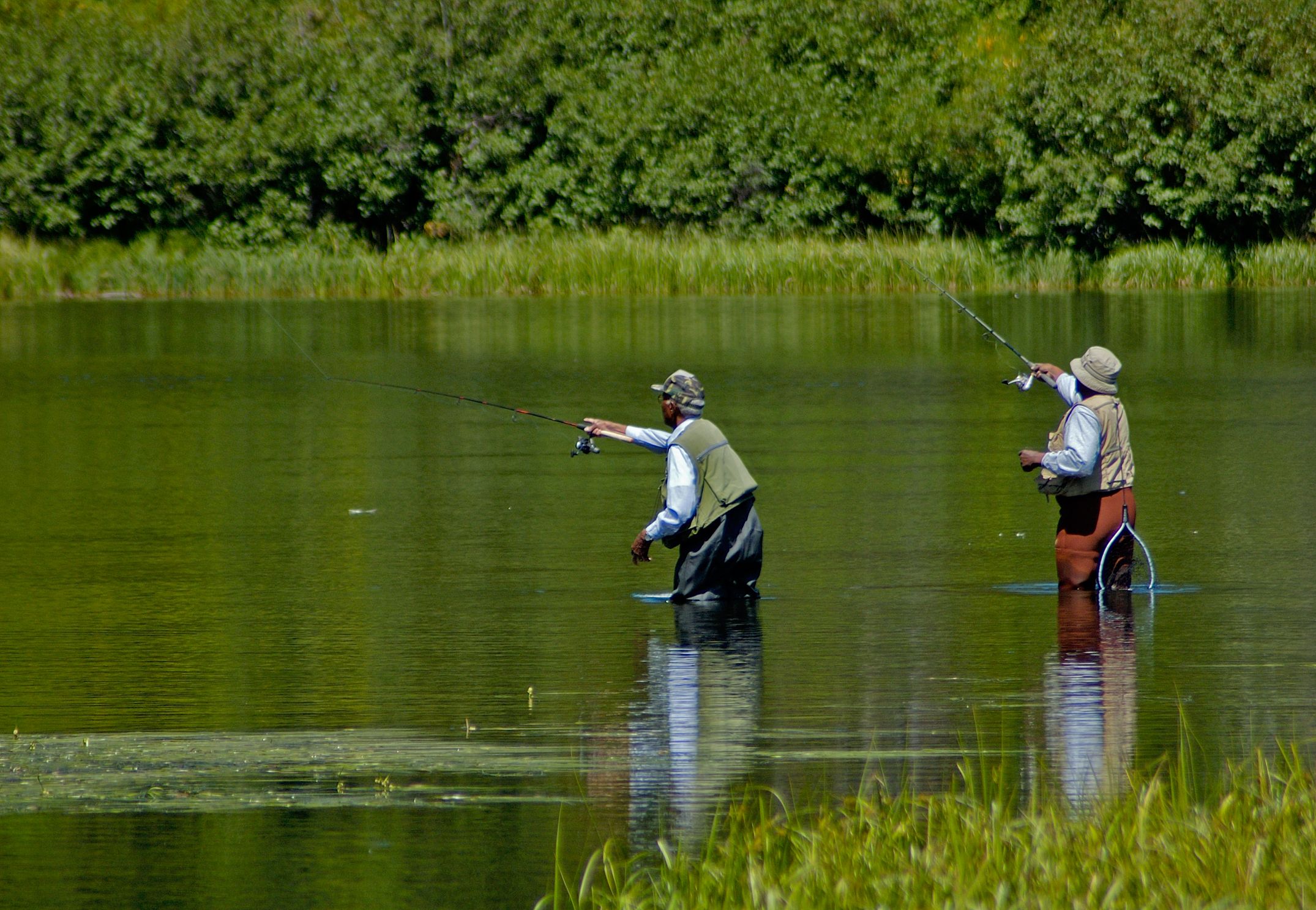 Qué requisitos necesitas cumplir para pescar en un río?